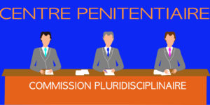Commission pluridisciplinaire